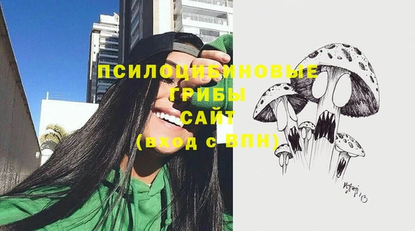 эйфоретик Абинск