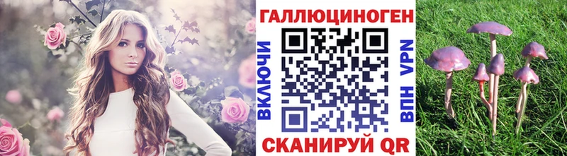 Галлюциногенные грибы Psilocybe  Оренбург 