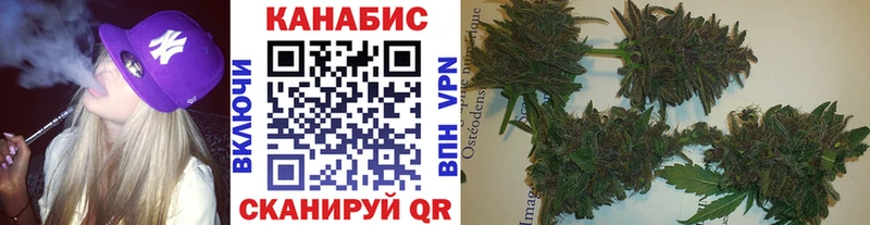 наркошоп  Оренбург  Канабис ГИДРОПОН 